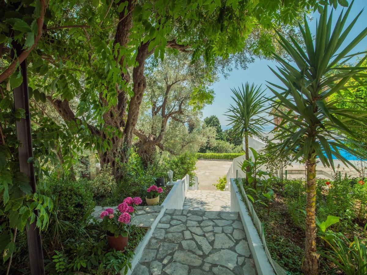 The Turtles Garden Villa Bečići Eksteriør bilde