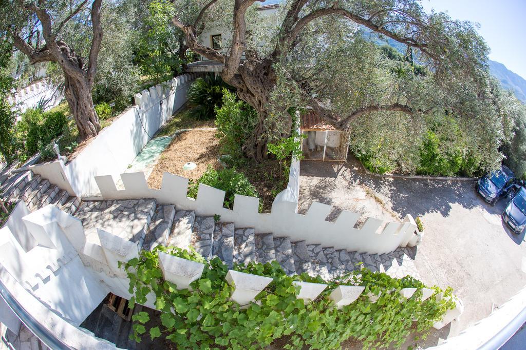 The Turtles Garden Villa Bečići Eksteriør bilde